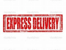 EXPRESS SHIPPING - Dope Chics Accessories 